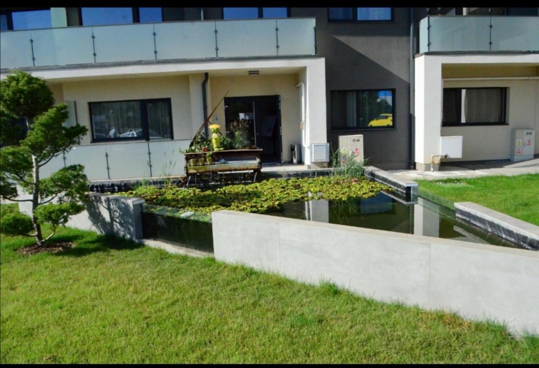 Vivamus Studio Brasov Exterior photo